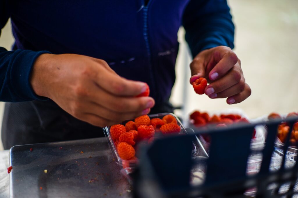 exportación de berries